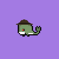 Weird Whales 1148