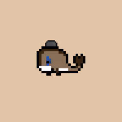 Weird Whales 211