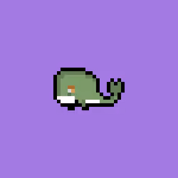 Weird Whales 2907