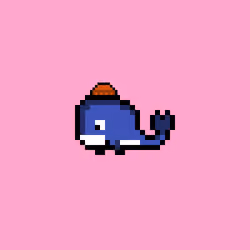 Weird Whales 579