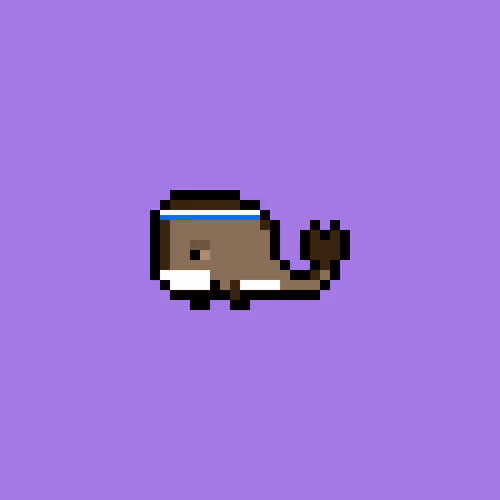 Weird Whales 525