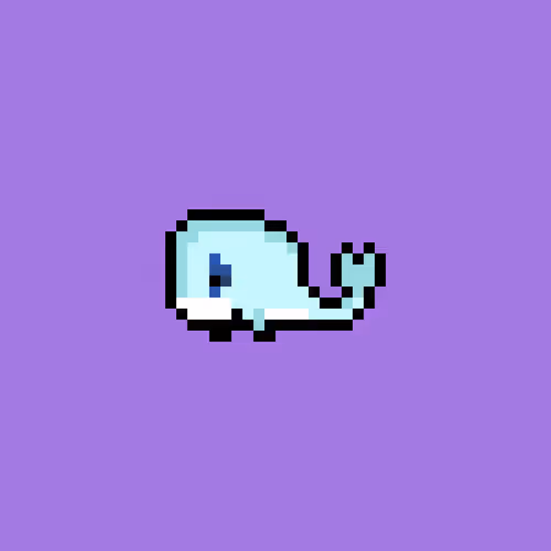 Weird Whales 2588