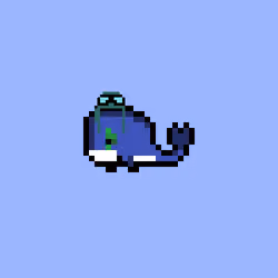 Weird Whales 3165