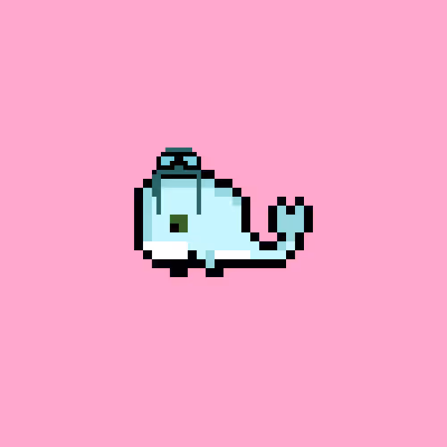 Weird Whales 3336