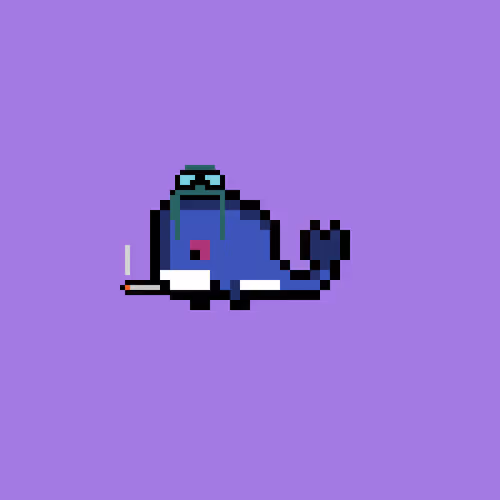 Weird Whales 3325