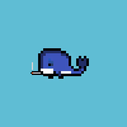Weird Whales 2982
