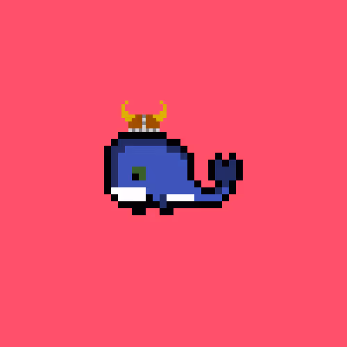 Weird Whales 2850