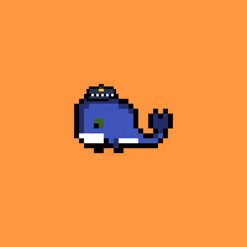 Weird Whales 2505