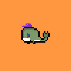Weird Whales 554