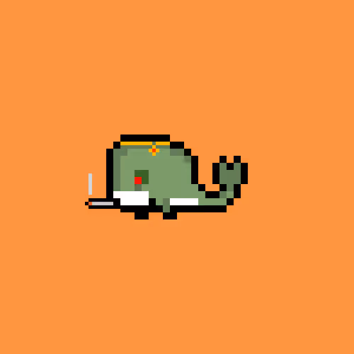 Weird Whales 1470