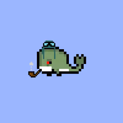 Weird Whales 4