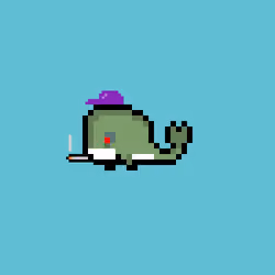 Weird Whales 2843
