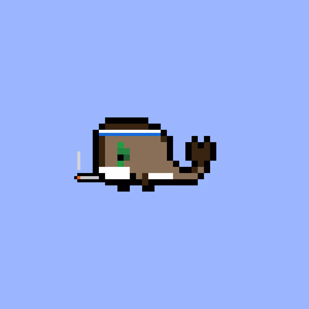 Weird Whales 3337