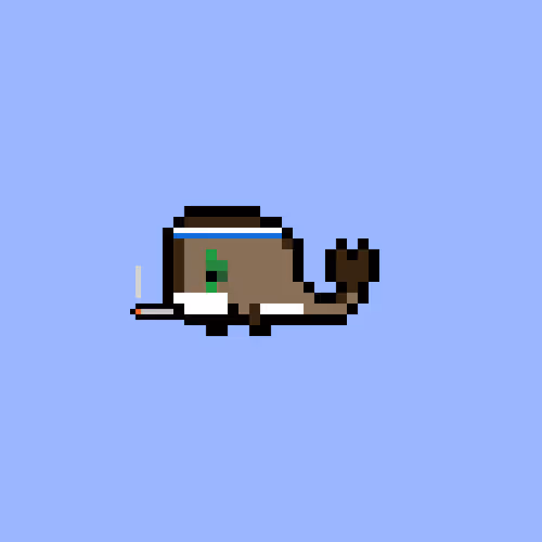Weird Whales 3337