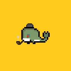 Weird Whales 1440