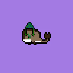 Weird Whales 2382