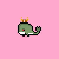 Weird Whales 907