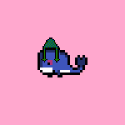 Weird Whales 300