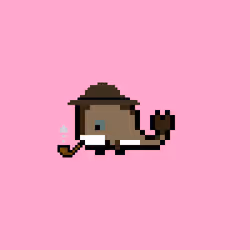 Weird Whales 2415