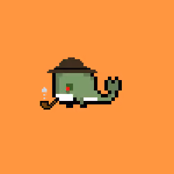 Weird Whales 529