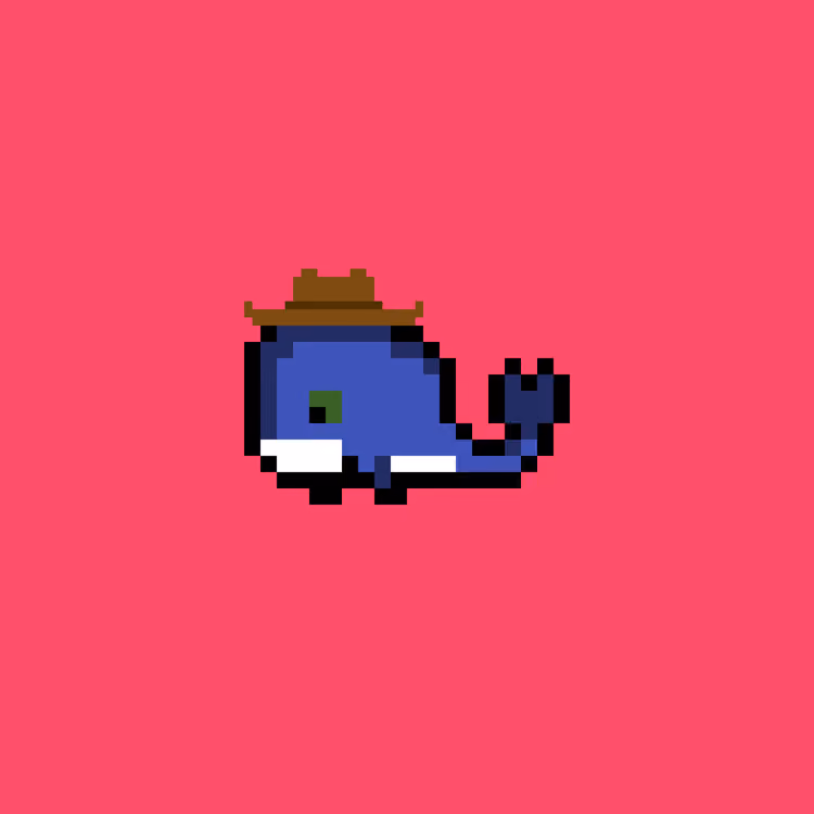 Weird Whales
