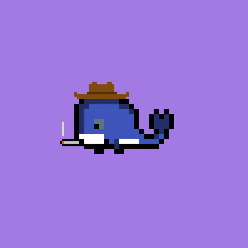 Weird Whales 1241