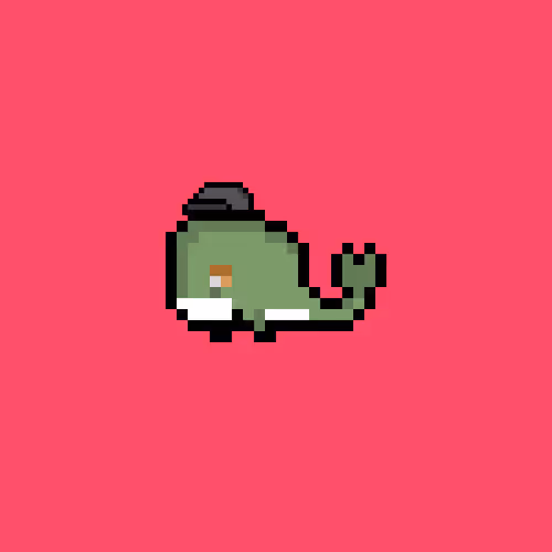 Weird Whales 360