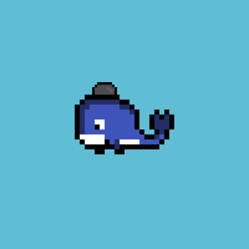 Weird Whales 583