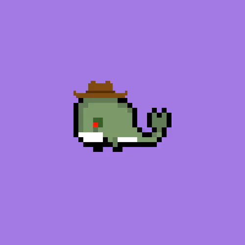 Weird Whales 108