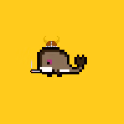 Weird Whales 304