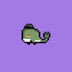 Weird Whales 713