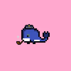 Weird Whales 806