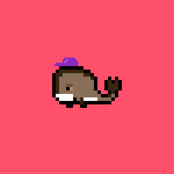 Weird Whales 502