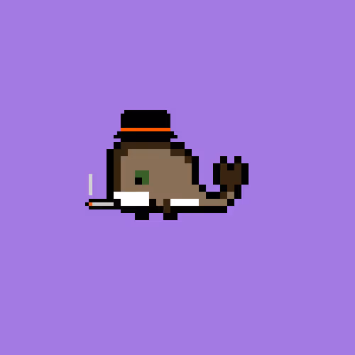 Weird Whales 299