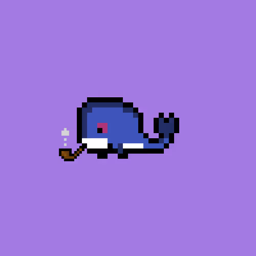 Weird Whales 2660