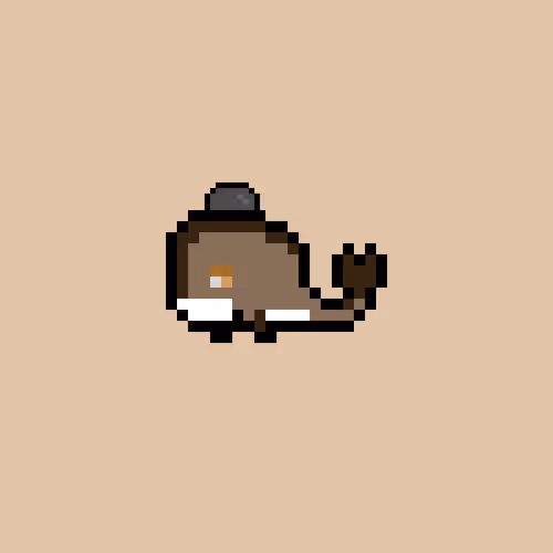 Weird Whales 1539