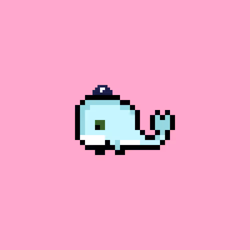 Weird Whales 73