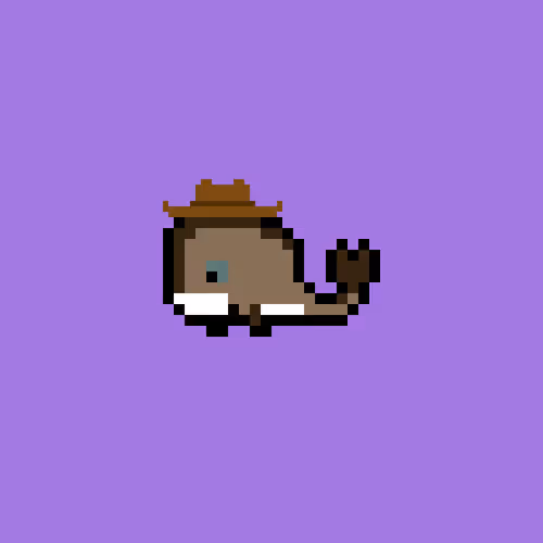 Weird Whales 481