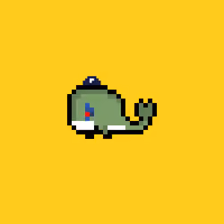 Weird Whales 2430