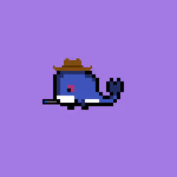 Weird Whales 1499