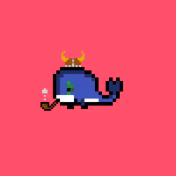 Weird Whales 2416