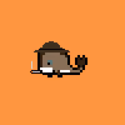 Weird Whales 2991