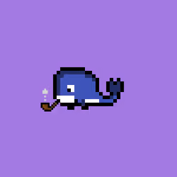 Weird Whales 2331