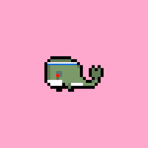 Weird Whales 1445