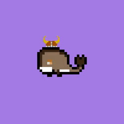 Weird Whales 263