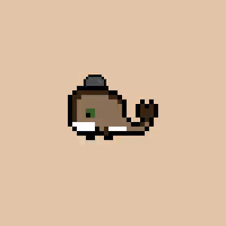 Weird Whales 1010