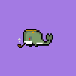 Weird Whales 2659