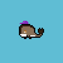 Weird Whales 1350