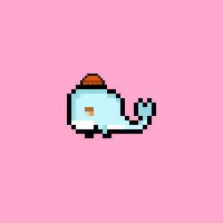Weird Whales 2000