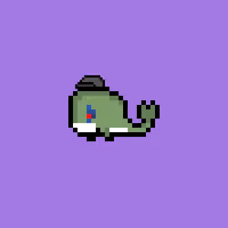 Weird Whales 582